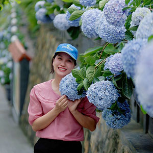 Ms Huệ